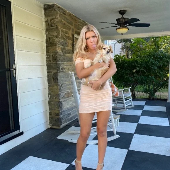 Windsor | Dresses | Light Pink Windsor Homecoming Dress Size Small |  Poshmark